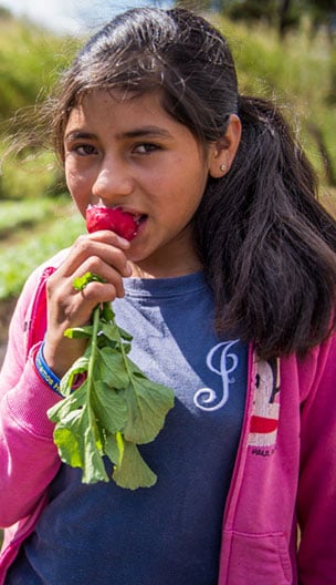 Honduras FoodAndAgriculture   