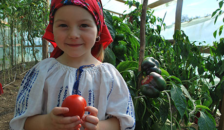 Romania Food   