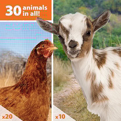 10 goats and 20 chickens