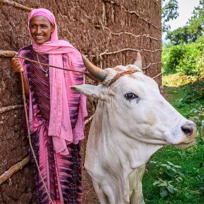 woman with dairy cow