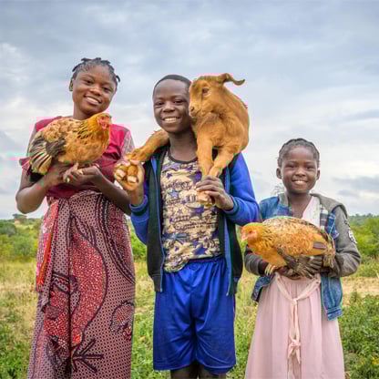 goat and two chickens
