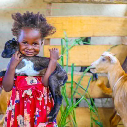 little girl holding a baby goat