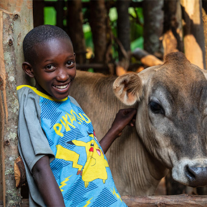 little boy standing next to a cow smiling