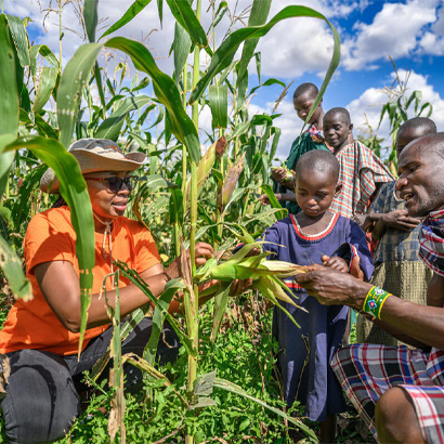 group of people looking at a corn crop