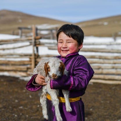 little boy with sheep