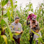 people in the fields