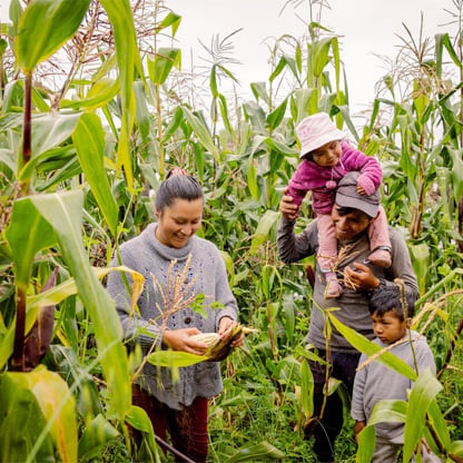 people in the fields
