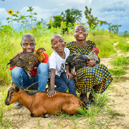 kids with chickens and goats