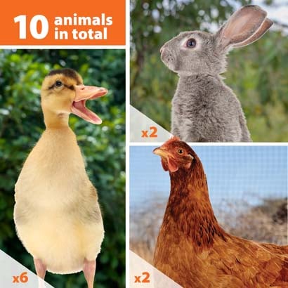 ten small farm animals