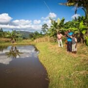 fishing pond