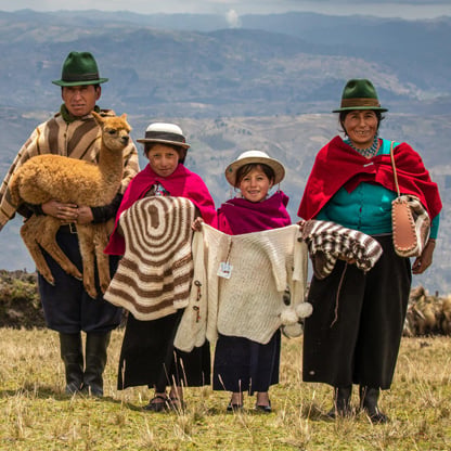 family with alpaca