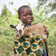 feeding families with goat milk