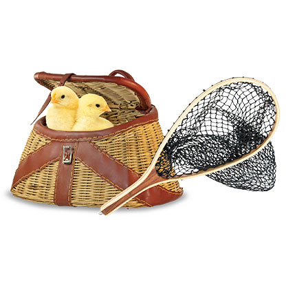 Fishing kit and 2 chickens.