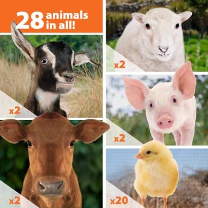 twenty eight farm animals