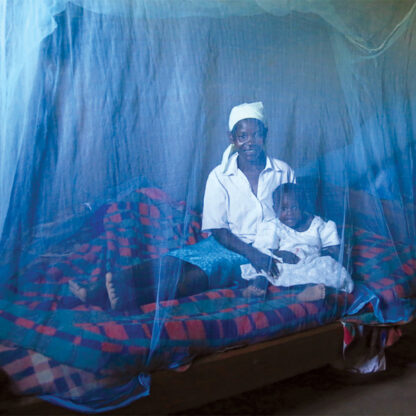Donate Bed Nets for a Family