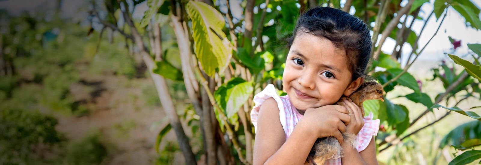 little girl holding chicken