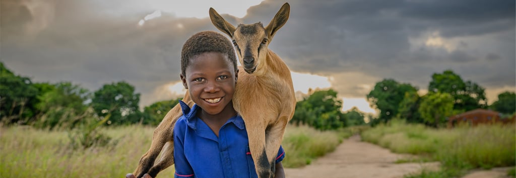 boy goat