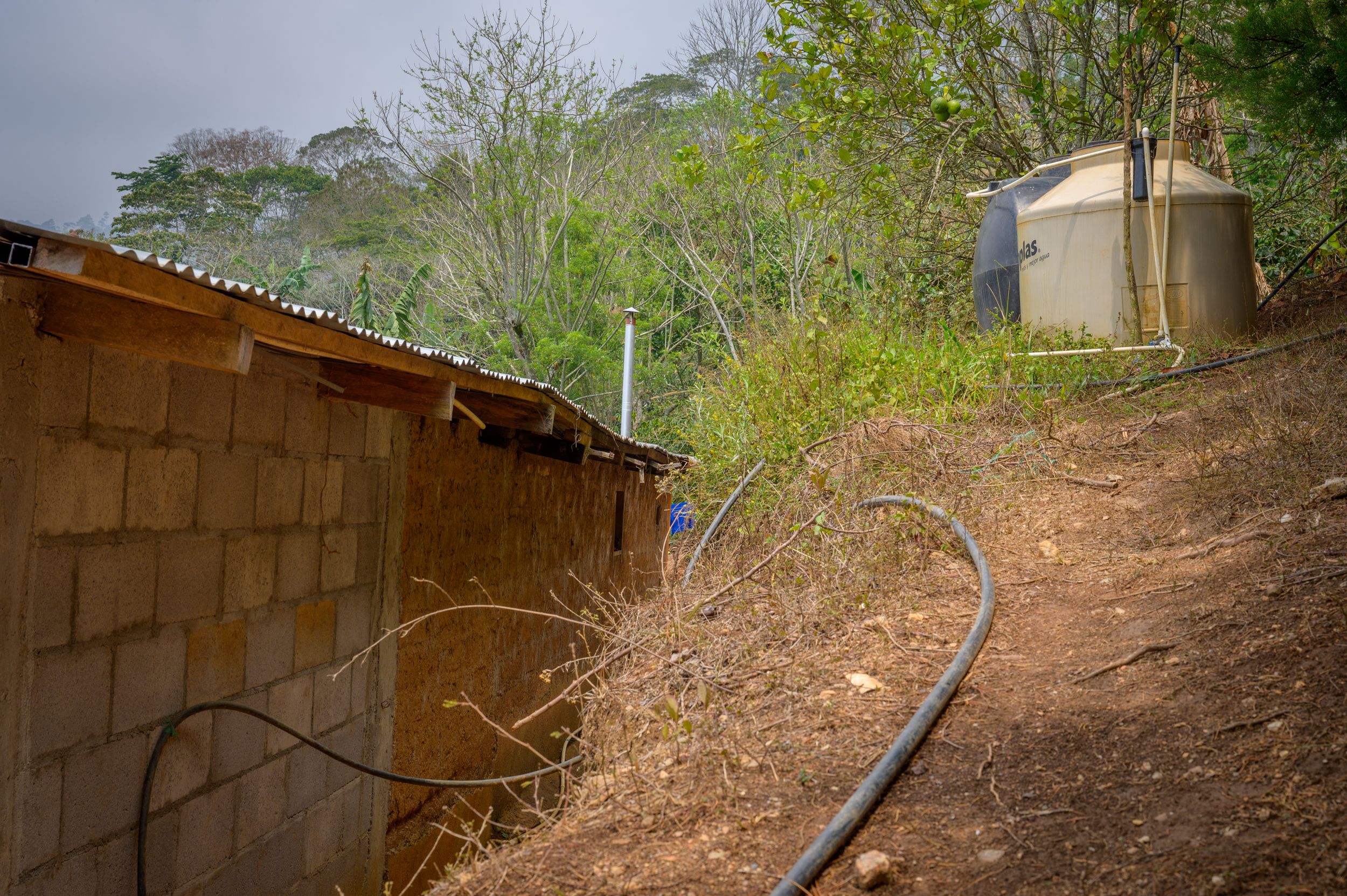 Clean water through a turn of the tap | World Vision