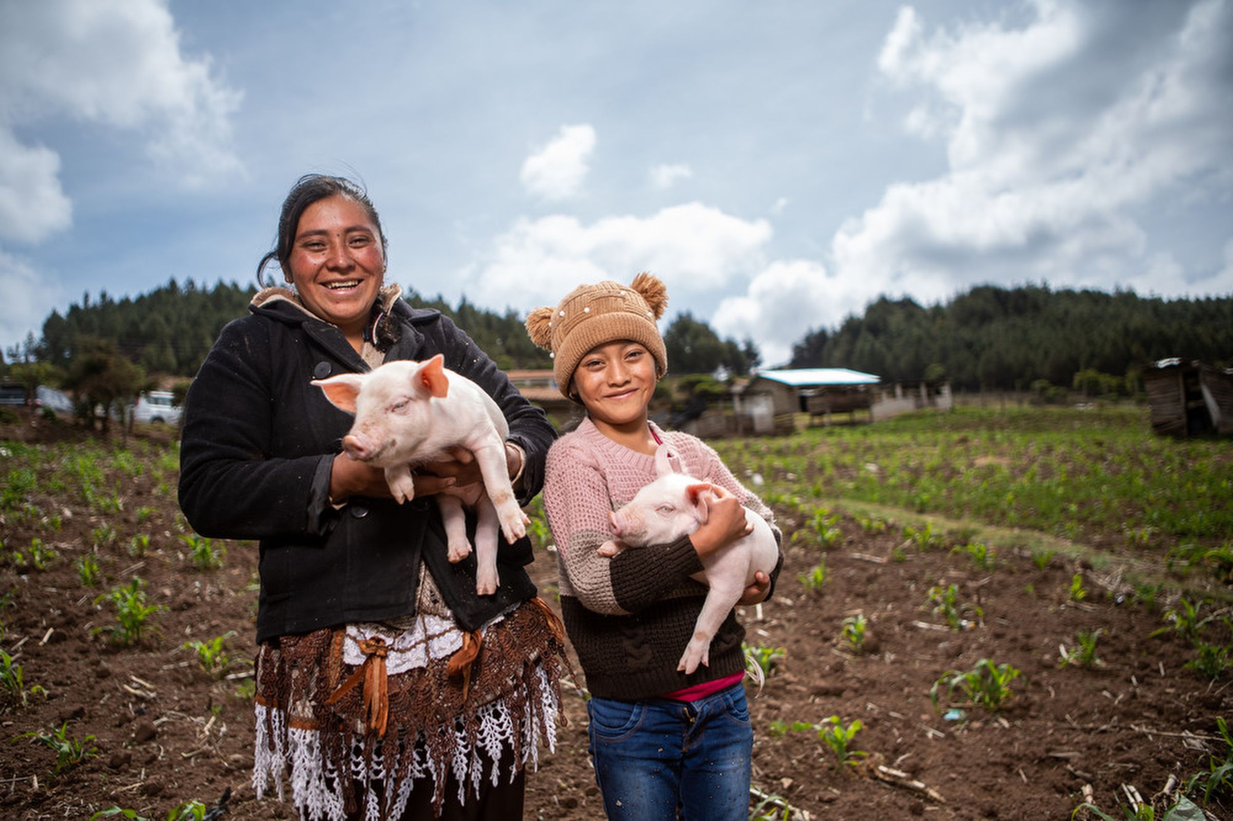 A smiling and warmly dressed mother and daughter hold cute pink piglets, while standing in a field on a farm.