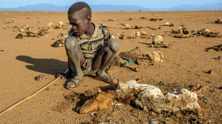 A first-hand look at signs of hunger in Turkana, Kenya, and how the East Africa food crisis is changing the lives of people there.