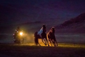 Follow the Goats 3: Mongolian family | World Vision