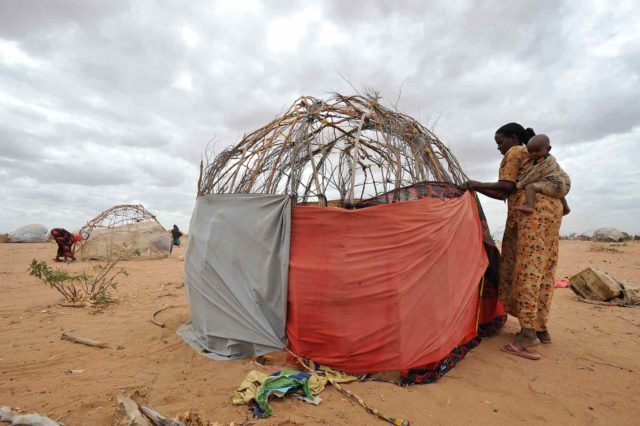 Isnino Siyat made it to Dadaab, a refugee camp in Kenya, with her husband and two children after walking for 10 days from their village in Somalia. She said the drought “finished both our livestock and our farm,” killing their five cows and 10 goats one by one over three months. Reaching Dadaab, Isnino was exhausted but had to make her own hut out of sticks, borrowed clothing scraps, and burlap sacks that once contained relief food. She worked alone while her husband was elsewhere in the camp, preparing for burial the body of their 3-year-old nephew, who died on the journey.