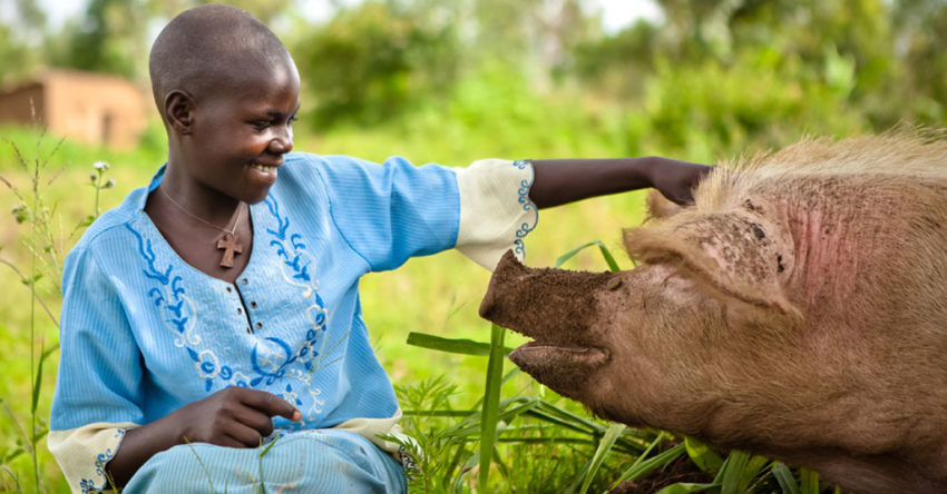 If you give a pig, you can keep a family out of poverty. Read this inspiring story from the Kahi community of Rwanda to find out.