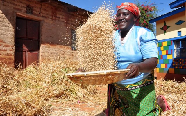 Farmers in eastern Kenya are learning how to provide enough food for their families by protecting themselves from increasingly frequent dry spells. 