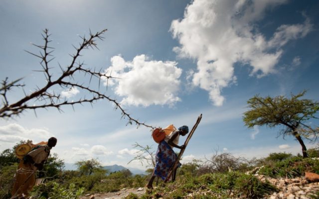 Walk in the shoes of a Kenyan woman as she struggles to find clean water for her family, and learn what brought her arduous journey to an end.