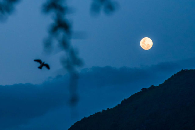 Humanity has never brought clean water to everyone. Now there’s a goal to do so, and World Vision is playing a leading role in achieving this moon shot.