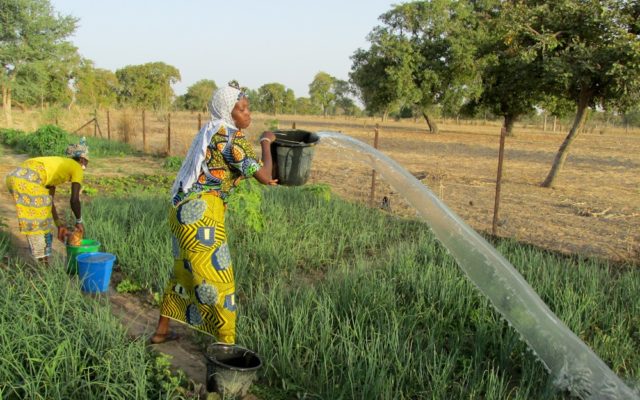 The drill rig team celebrated with villagers as World Vision’s 1,000th successful borehole drilled in Mali since 2003 brought clean water to the community. 