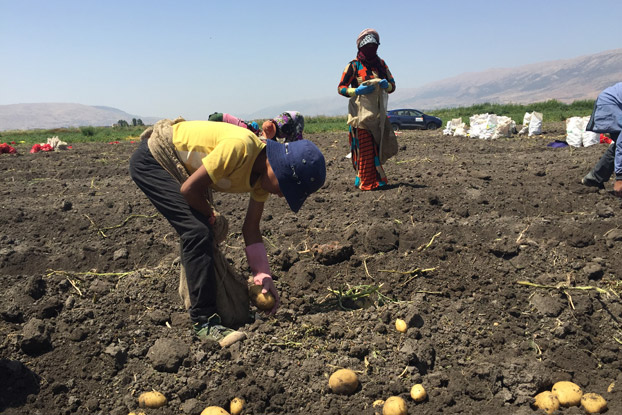 This International Day of Peace, hear the heartbreaking, eyewitness account about a Syrian refugee boy, 8-year-old Ibrahim, and the abuse he endures as a field laborer in Lebanon so his family can survive.