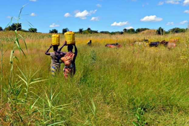 Charity and Ivy start their long walk home after fetching water in Zambia.