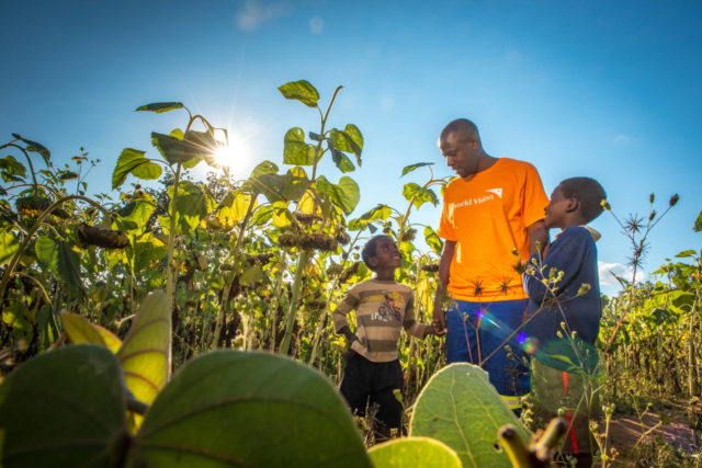 A World Vision staff member walks through a sunflower field with two brothers.