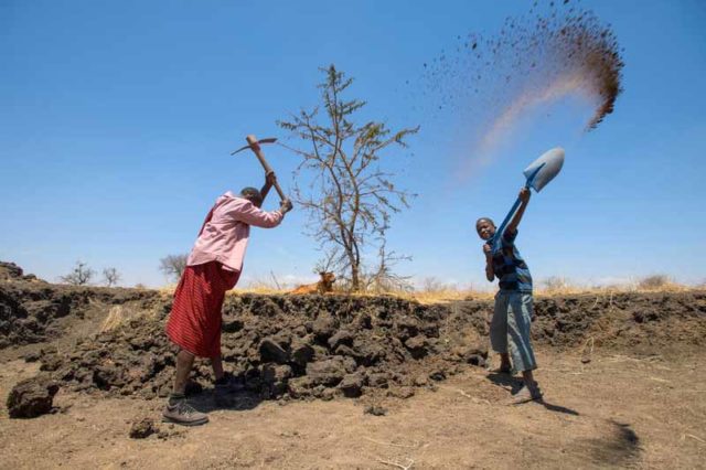 Aloisi Lomyani's whole family helps dig a water pan as part of World Vision's THRIVE program.