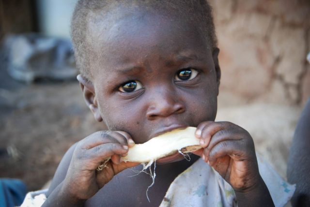 Hunger forced Cossy, 18 months, to eat the bitter tasting, watery wild root in Zambia.