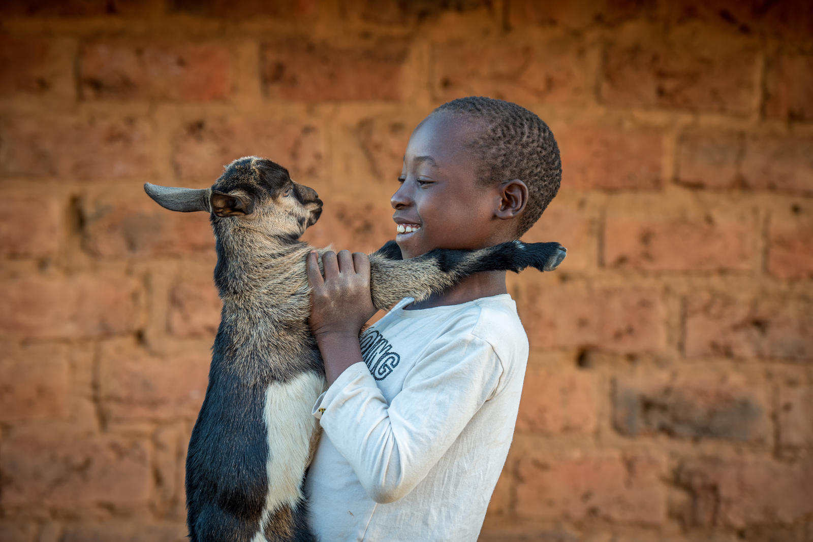 Goats bring blessings to family facing drought