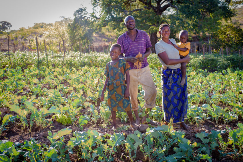 Drought is making life difficult for small-scale farm families in Zambia. Nine-year-old Joyce Moono stands in the garden with members of her family: her father, Milton Mudenda, mother, Seida Hamalambo, and 2-year-old brother, Caston Moono.