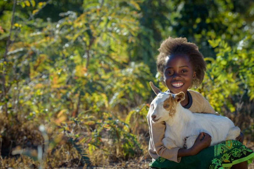 Goats have helped created a better life for 7-year-old Loveness and her family.