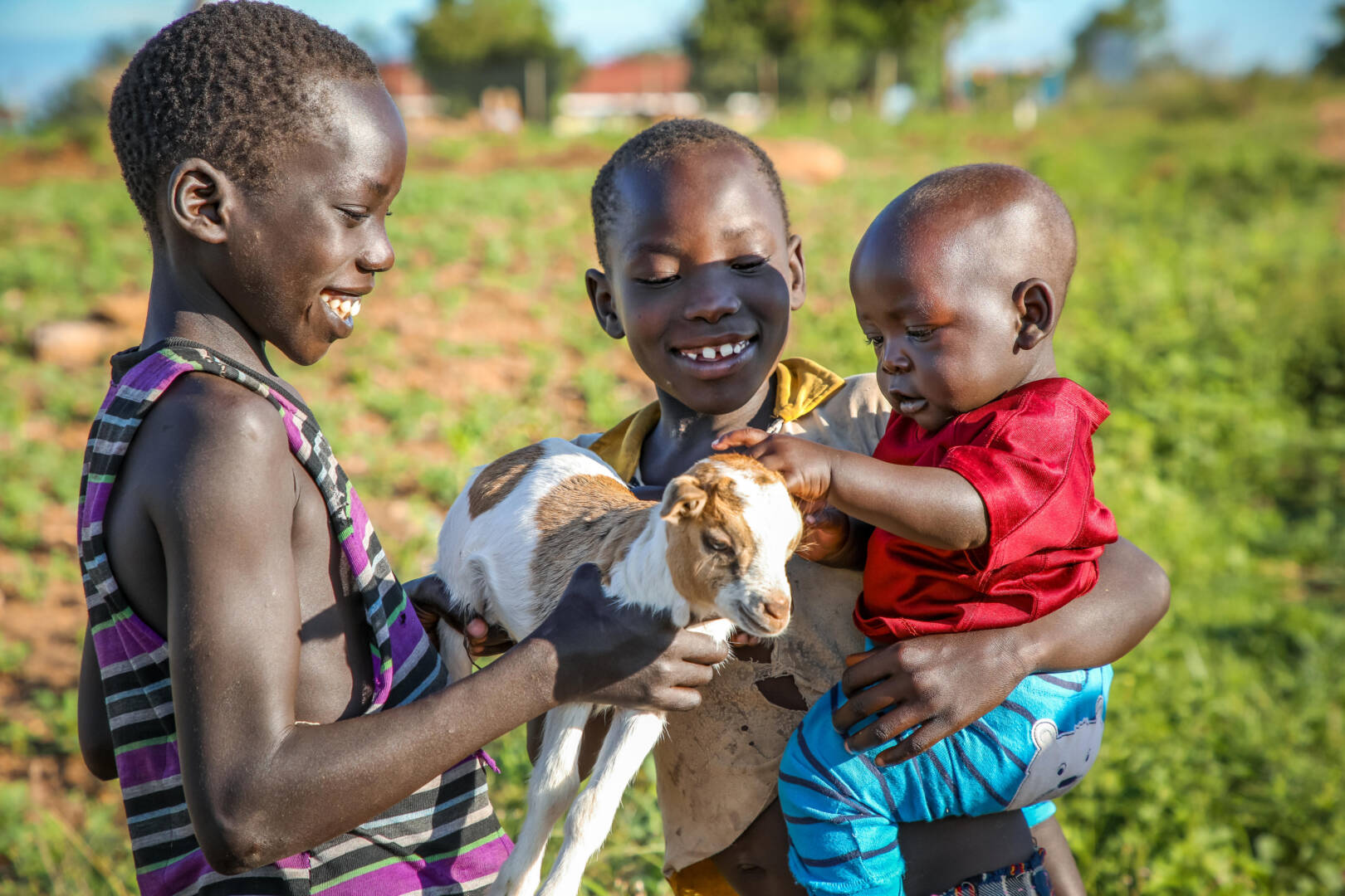 Mustafa and his siblings play with one of their family’s goats near their home in a Ugandan refugee settlement.