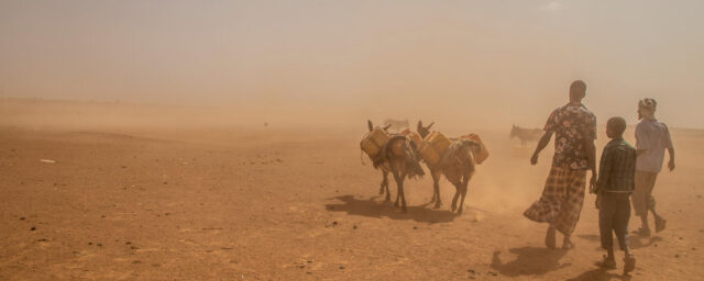 Drought in the Horn of Africa is expected to cause 20 million people to need emergency food assistance.