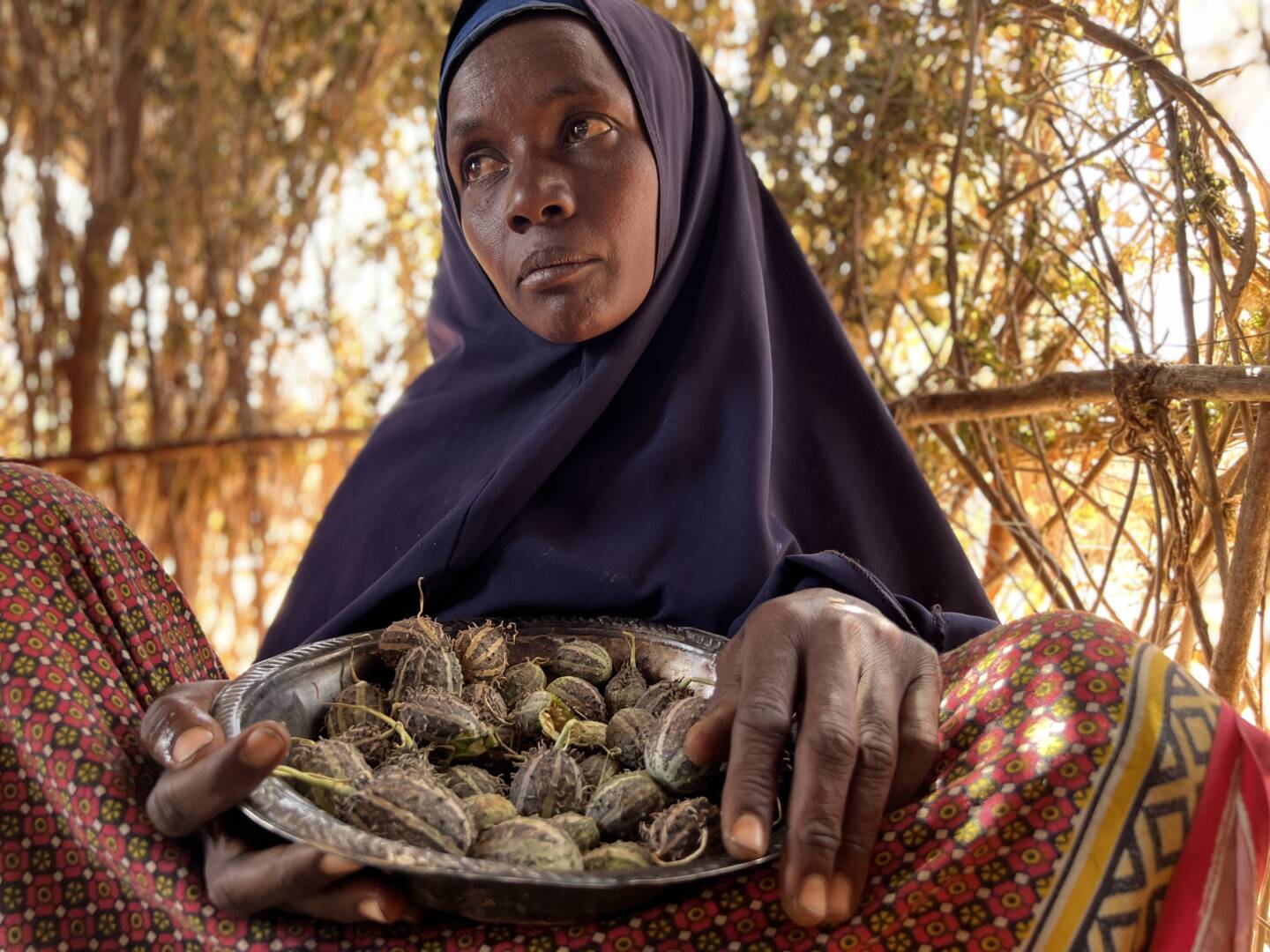A woman in Somalia who has been affected by drought has nothing to feed her family except the small fruits she holds in a bowl.