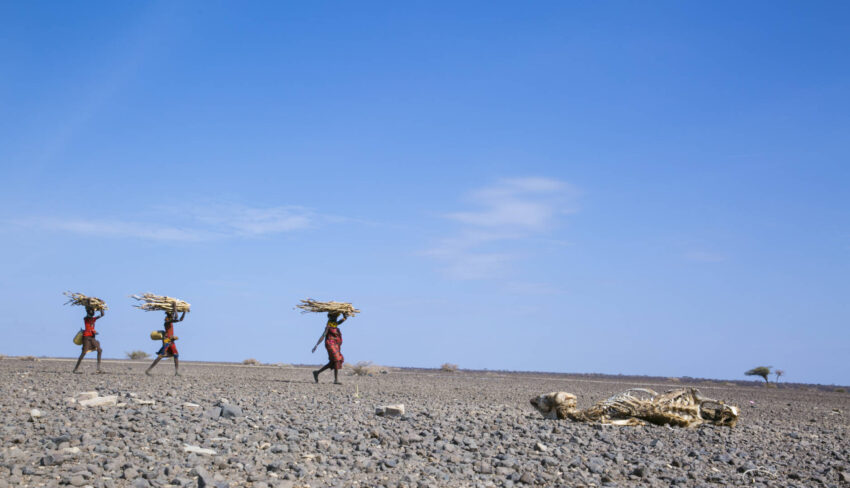 Women walk past a carcass in the parched landscape of Turkana, Kenya.