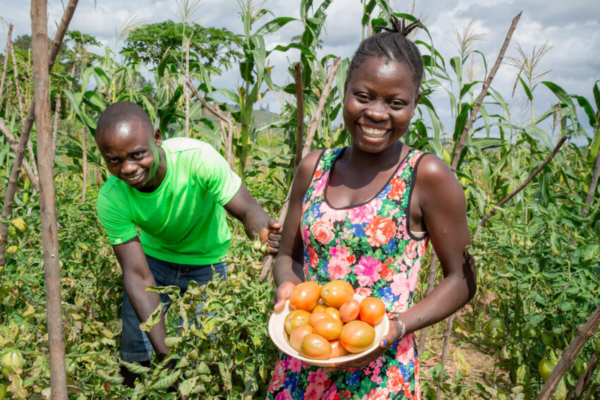World Vision programs funded by child sponsorship gifts are helping farmers in Kenya overcome drought conditions