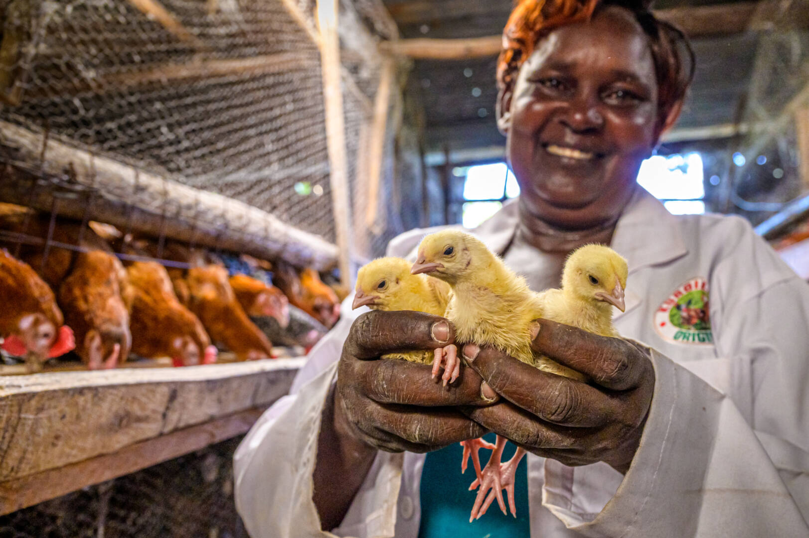 A happy woman with a big smile holds three chicks in her hands.