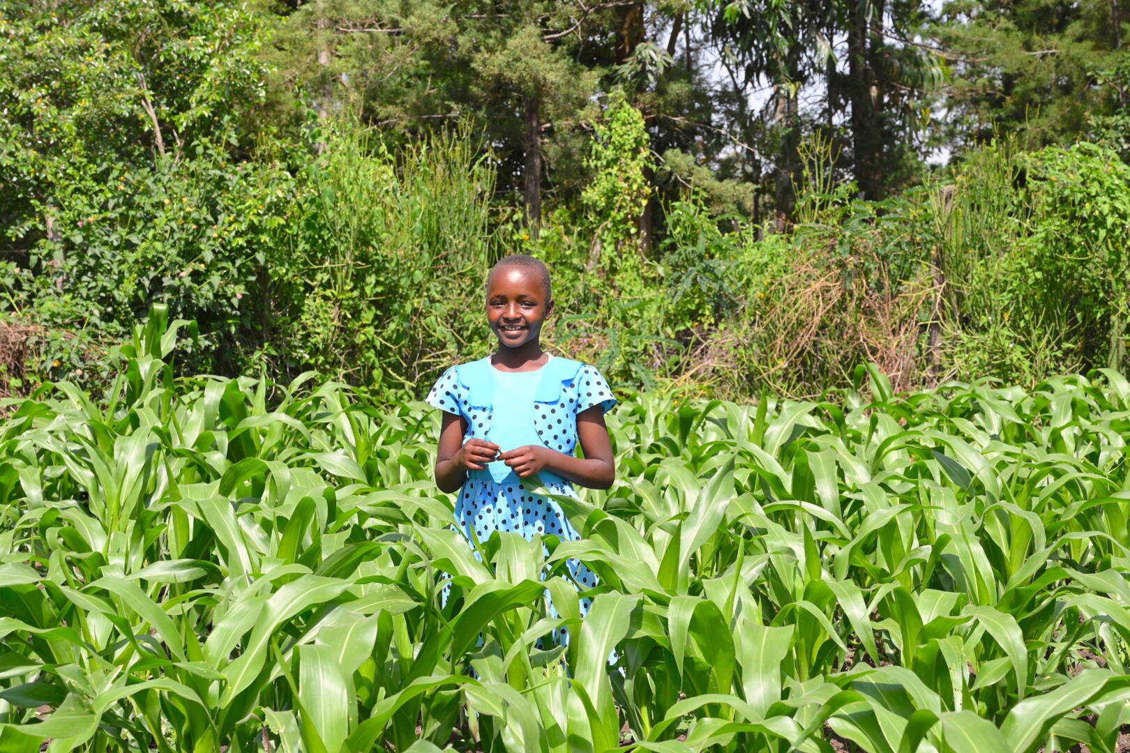 A smiling girl stands in the middle of a field of corn that comes up to her waist.