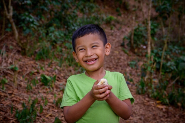 Portrait of a smiling, gap-toothed boy holding a chick in his hands.