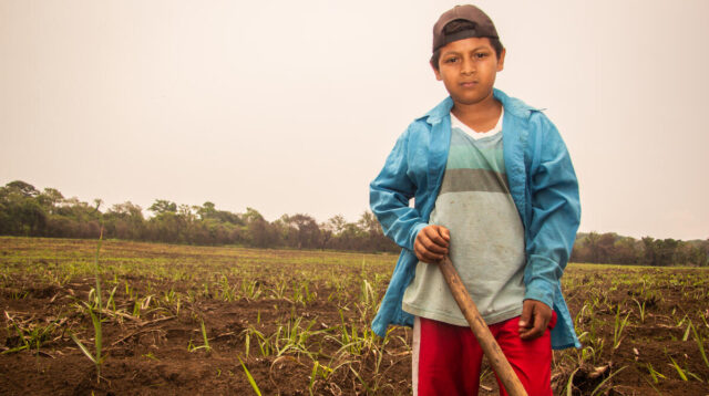 A boy in a farm field in El Salvador rests his hand on a hoe. He’s wearing a baseball cap backward and gazes into the camera.