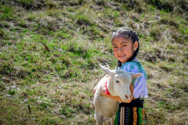 A girl in a traditional Guatemalan shirt and skirt embraces a sheep.