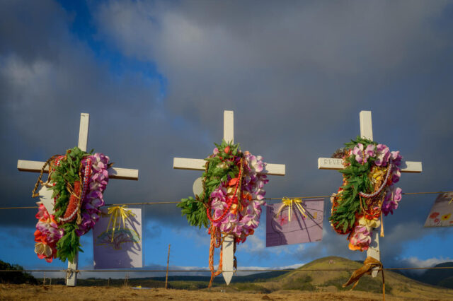 Three white crosses adorned with colorful leis stand at a memorial for wildfire victims in Maui.